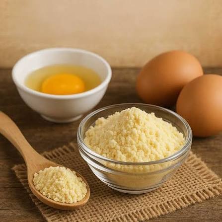 Odisha enters European market with first export of egg powder shipment to Austria